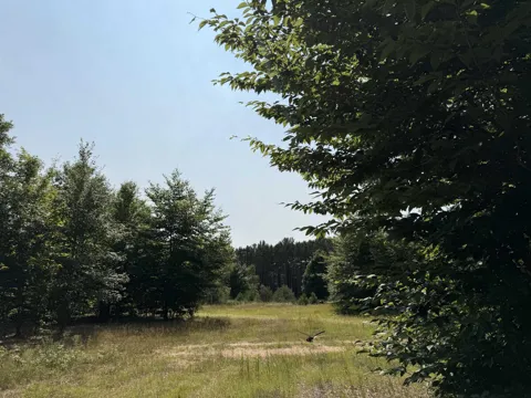 Landis Road