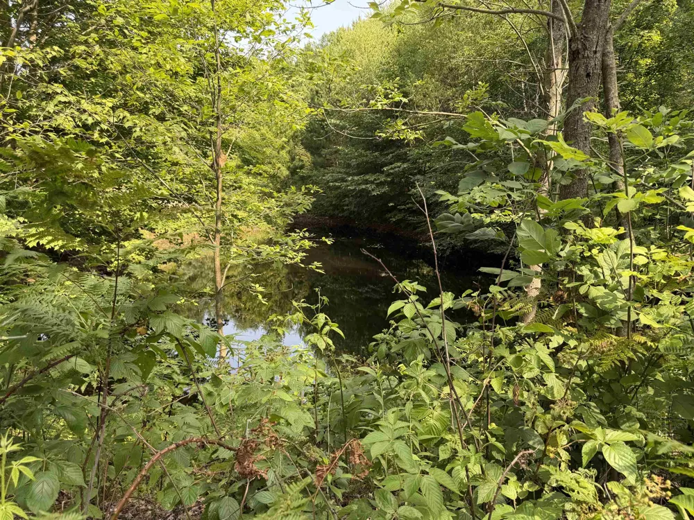 Landis Road Weldon Township, MI 49683