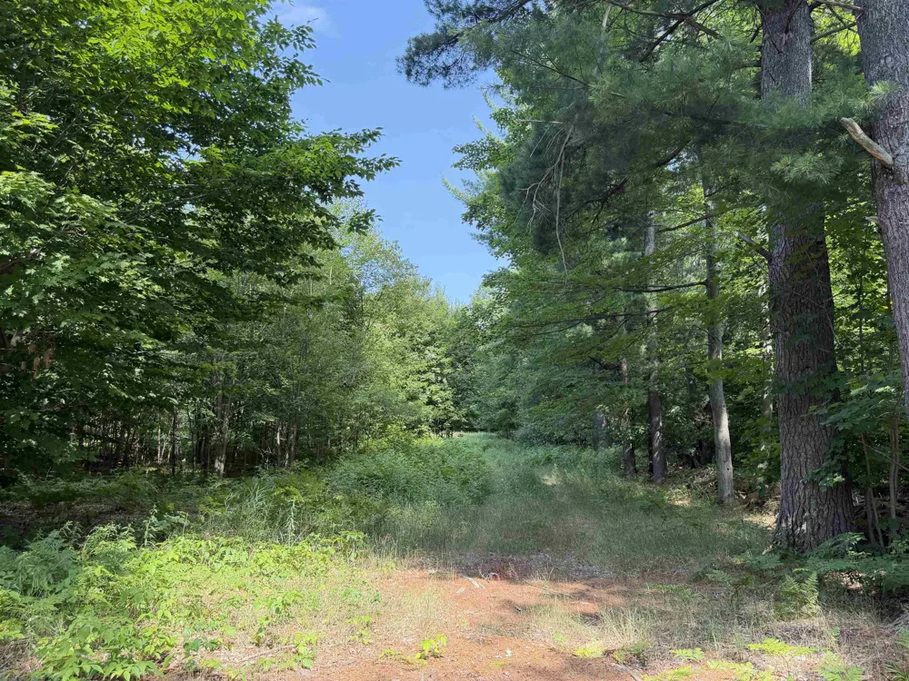 Landis Road Weldon Township, MI 49683
