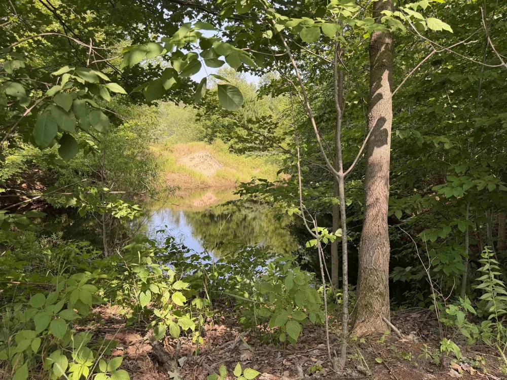 Landis Road Weldon Township, MI 49683