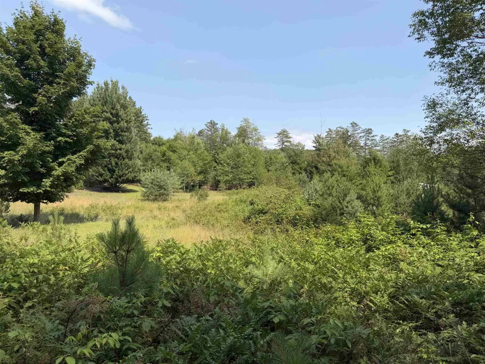 Landis Road Weldon Township, MI 49683