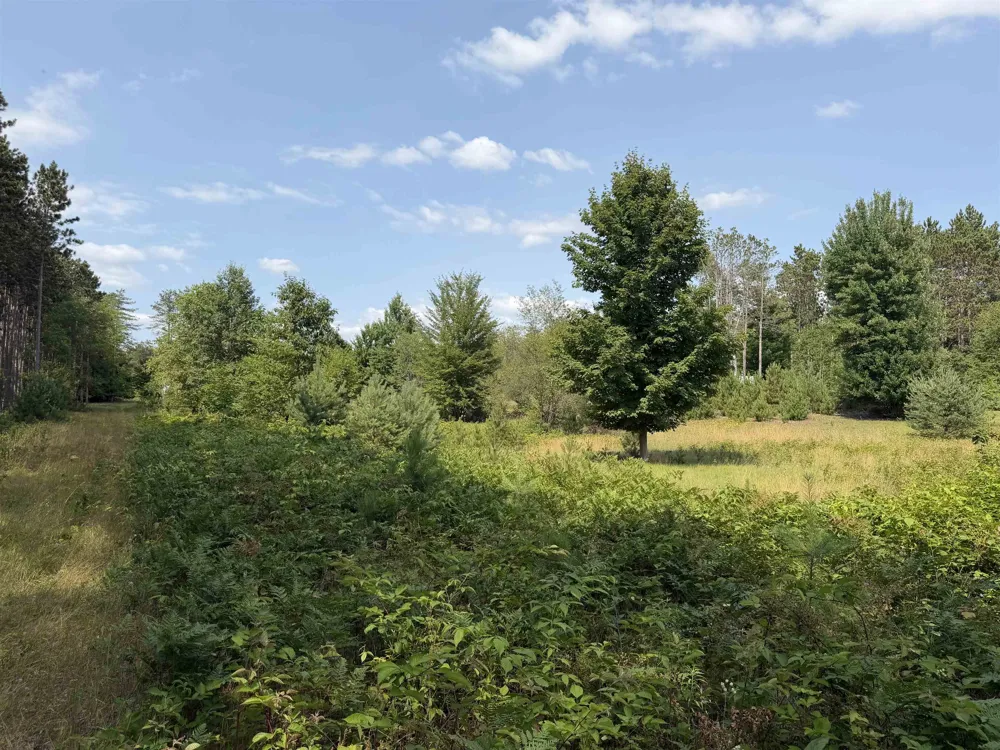 Landis Road Weldon Township, MI 49683