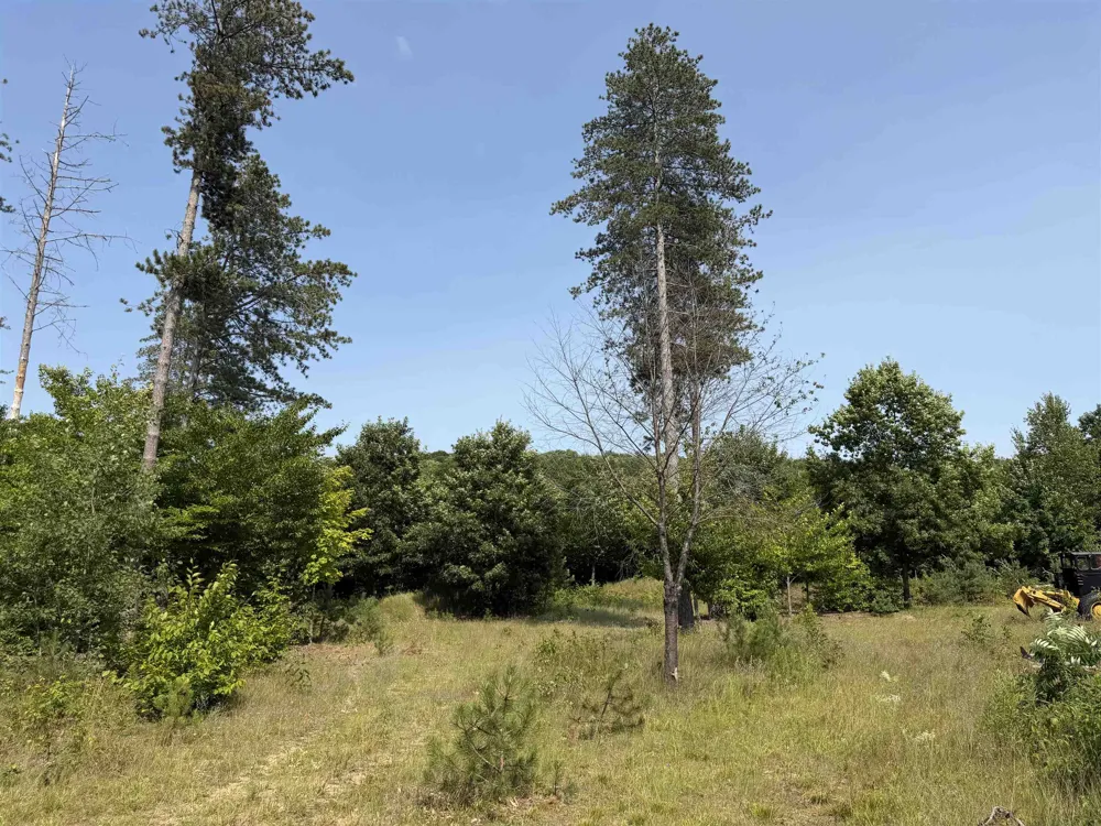 Landis Road Weldon Township, MI 49683