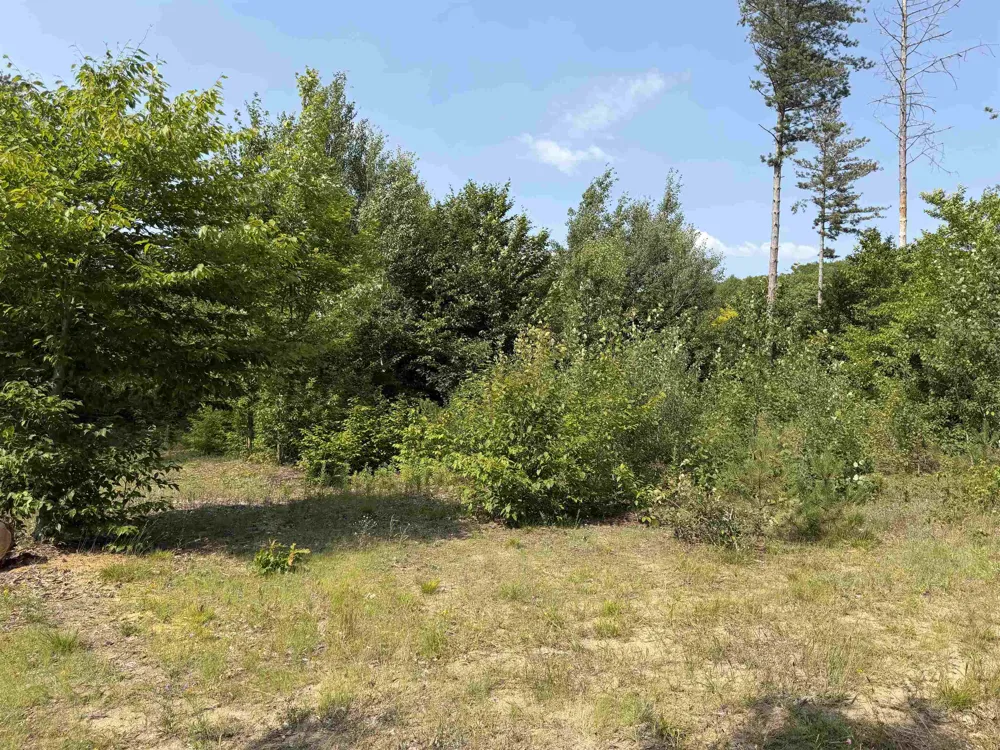 Landis Road Weldon Township, MI 49683