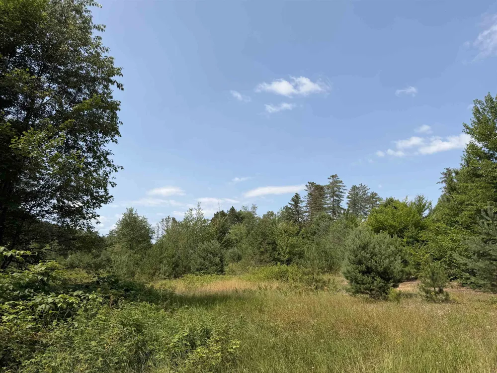 Landis Road Weldon Township, MI 49683