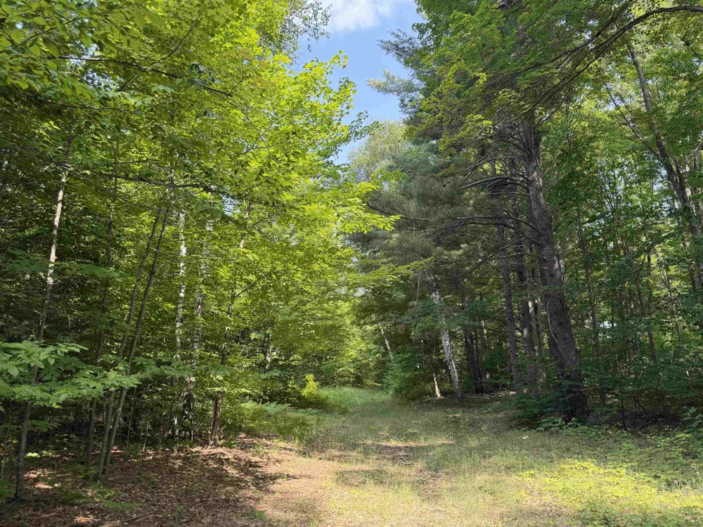 Landis Road Weldon Township, MI 49683