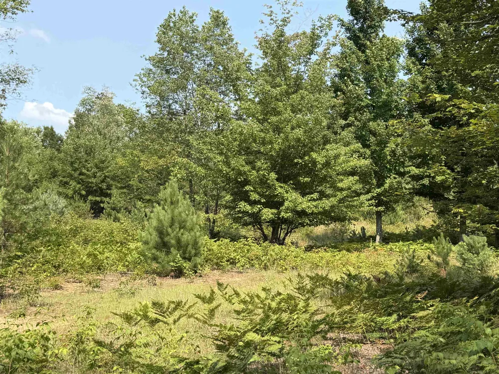 Landis Road Weldon Township, MI 49683