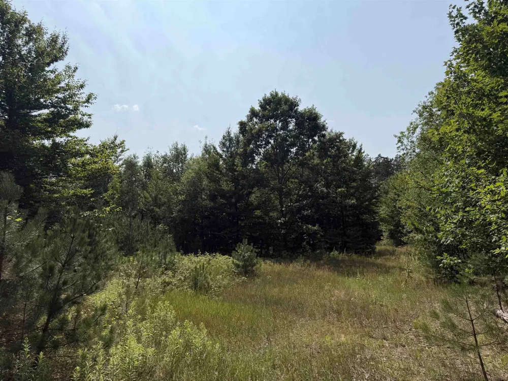 Landis Road Weldon Township, MI 49683