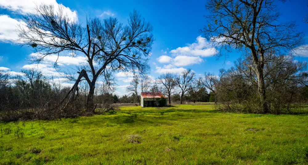 115 E Brazos Wortham, TX 76693