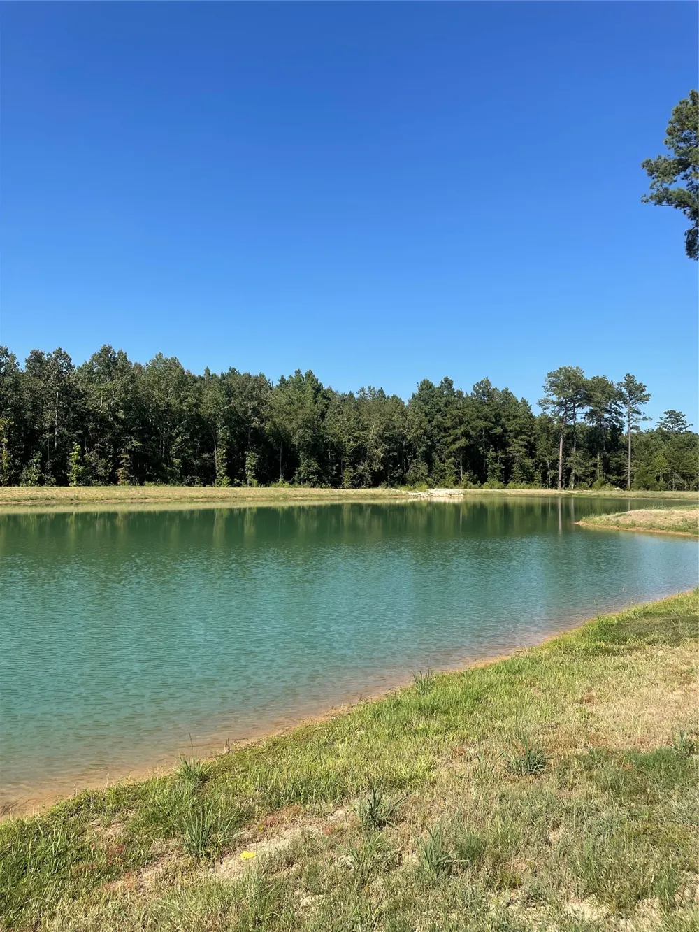 201 Mercy Way #62 Princeton, LA 71067