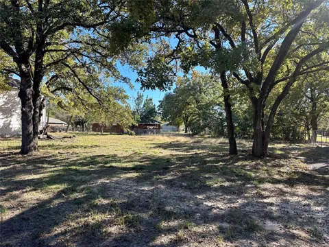Bluebonnet Drive