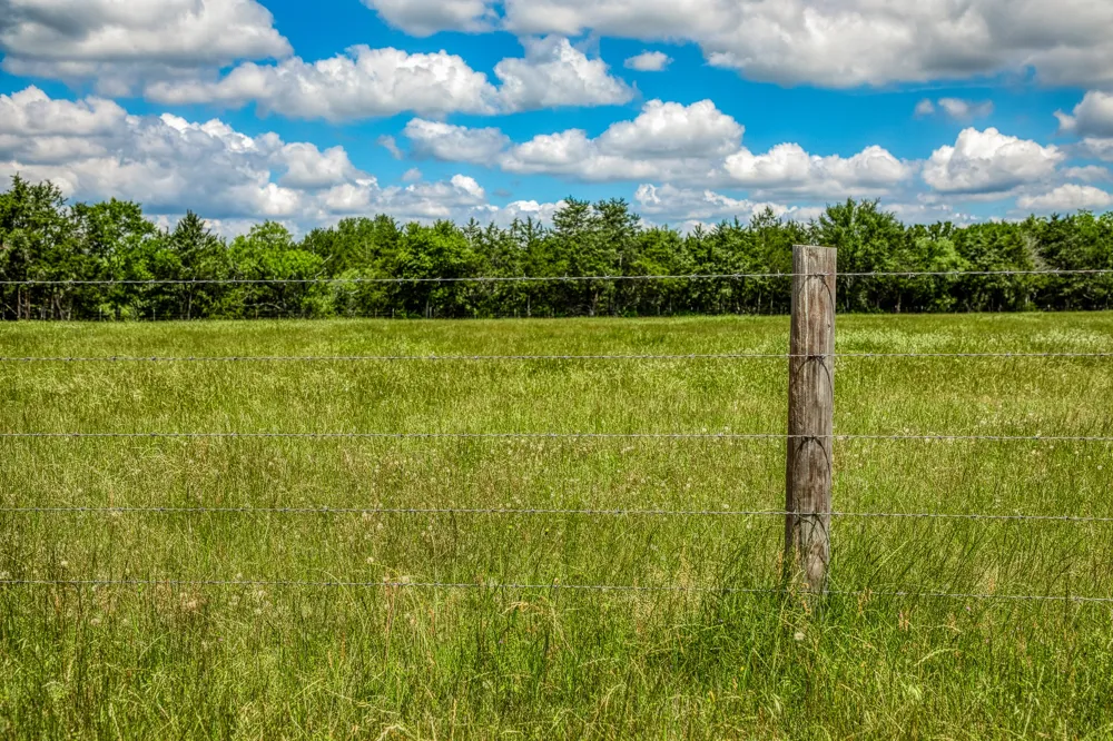 1850 Lcr 439 Mexia, TX 76667