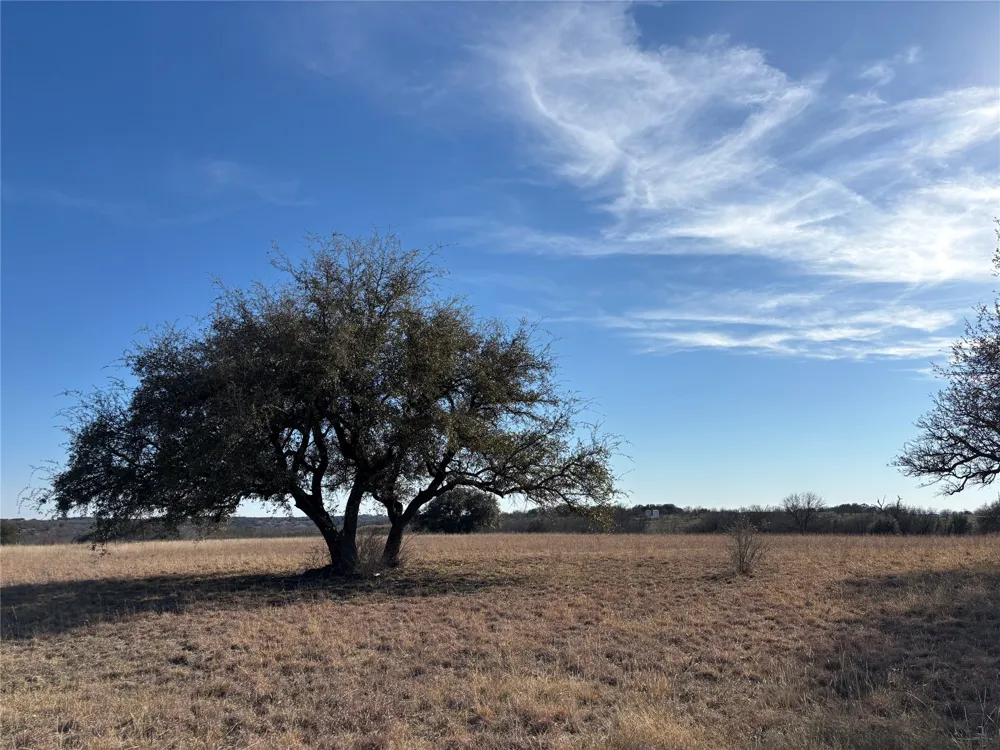196 Ava Grace Lane Dublin, TX 76446