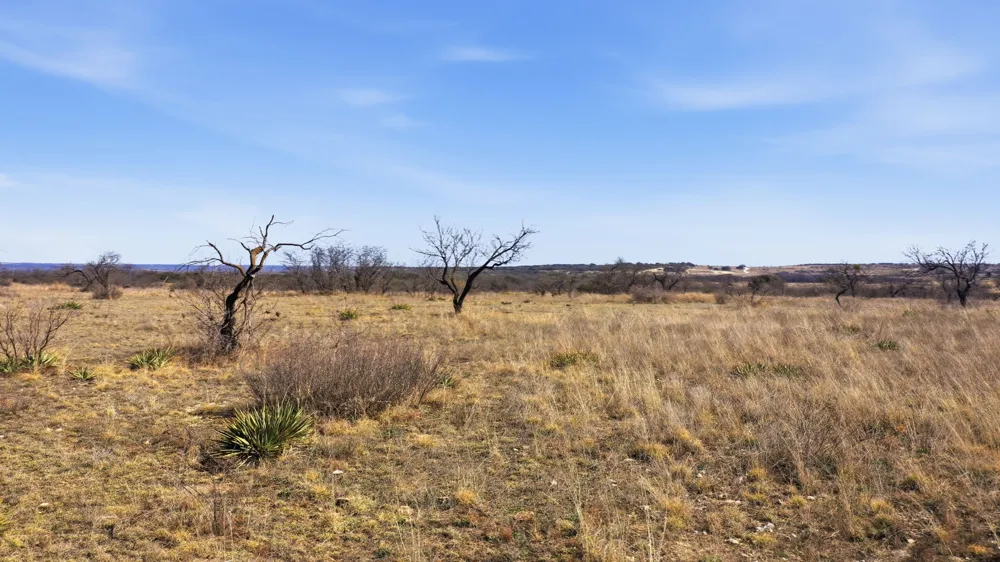 County Road 266 Gustine, TX 76455