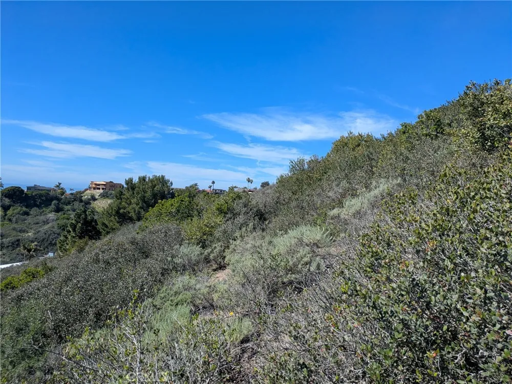 504 E Avenida San Juan San Clemente, CA 92672