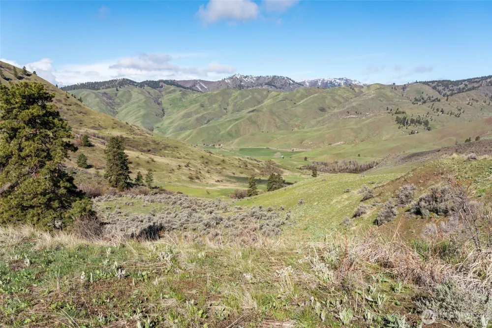 7993 Nahahum Canyon Road Cashmere, WA 98815
