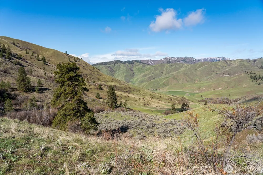 7993 Nahahum Canyon Road Cashmere, WA 98815