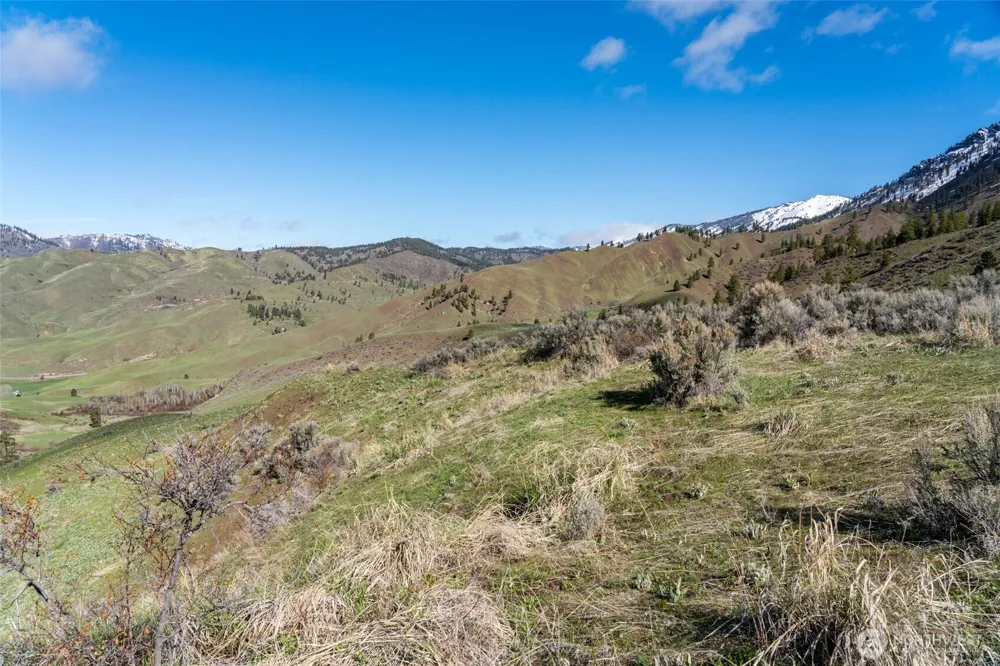 7993 Nahahum Canyon Road Cashmere, WA 98815