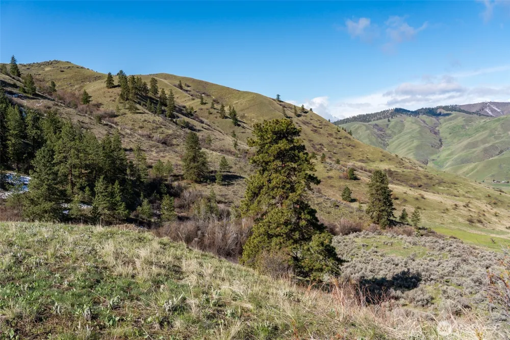 7993 Nahahum Canyon Road Cashmere, WA 98815