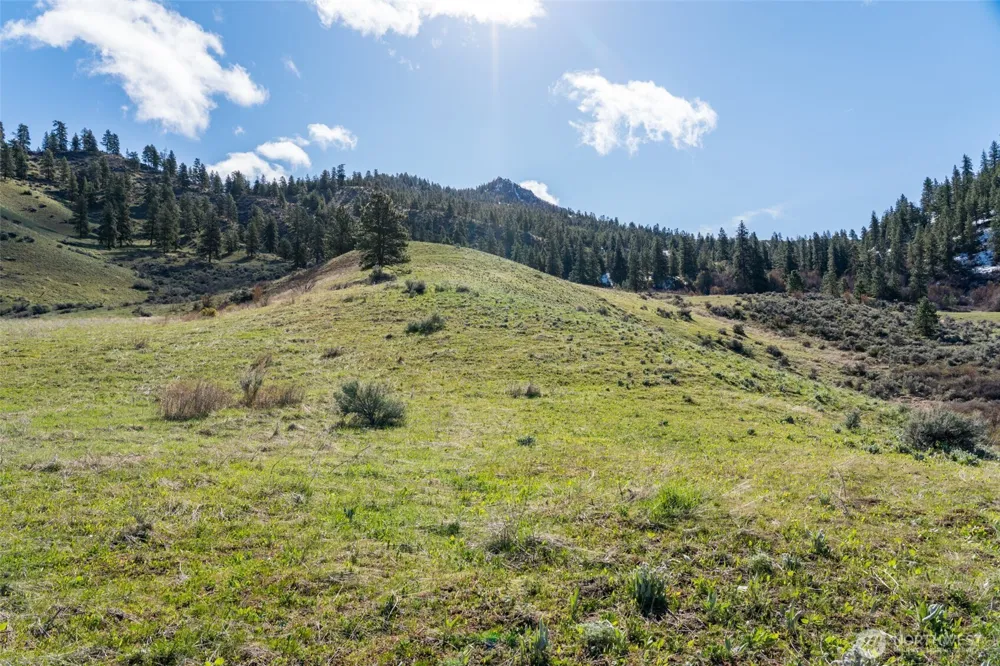 7993 Nahahum Canyon Road Cashmere, WA 98815