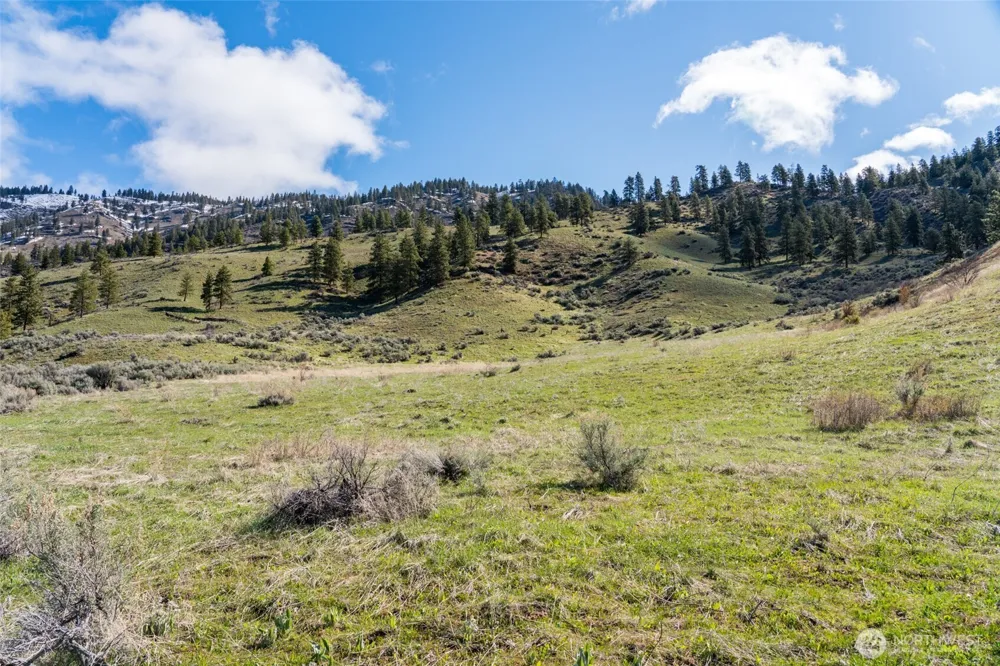 7993 Nahahum Canyon Road Cashmere, WA 98815