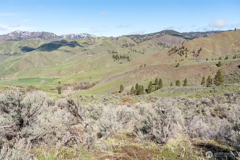 7993 Nahahum Canyon Road Cashmere, WA 98815