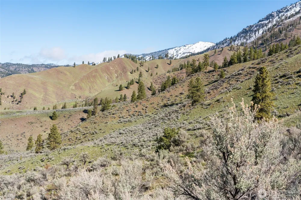 7993 Nahahum Canyon Road Cashmere, WA 98815
