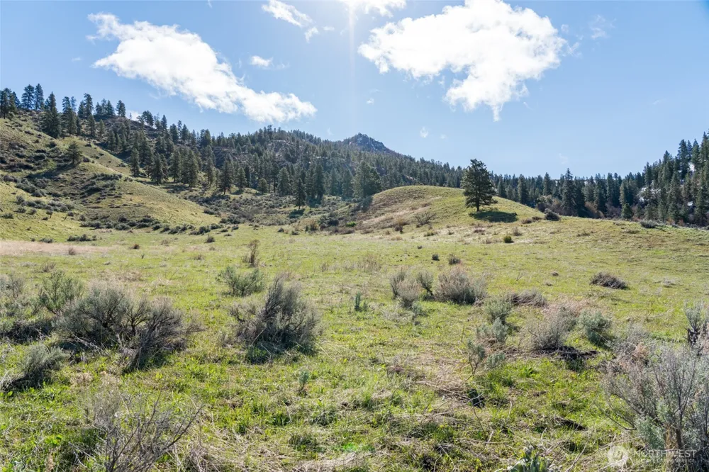 7993 Nahahum Canyon Road Cashmere, WA 98815