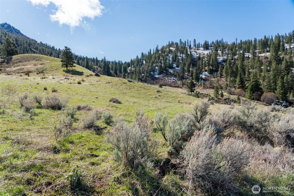 7993 Nahahum Canyon Road Cashmere, WA 98815