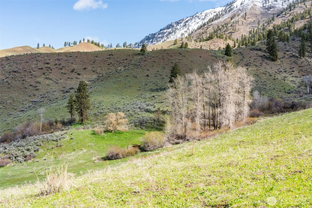 7993 Nahahum Canyon Road Cashmere, WA 98815