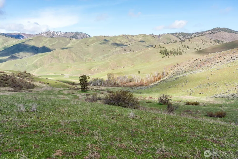 7993 Nahahum Canyon Road Cashmere, WA 98815
