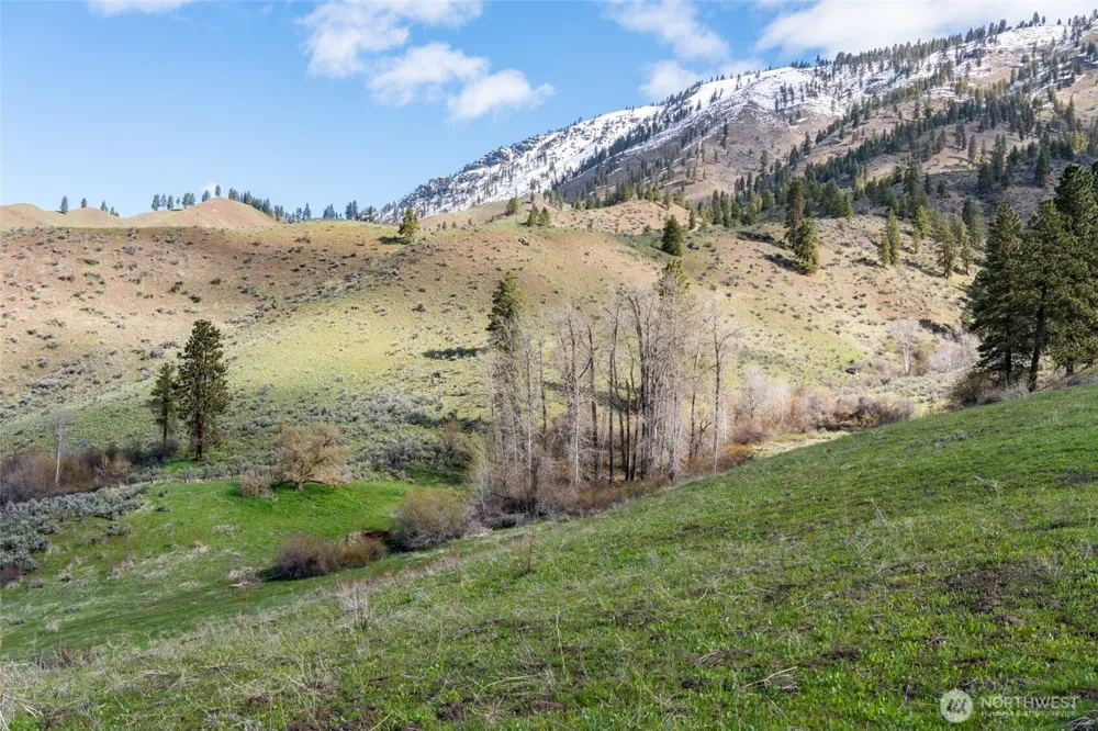 7993 Nahahum Canyon Road Cashmere, WA 98815