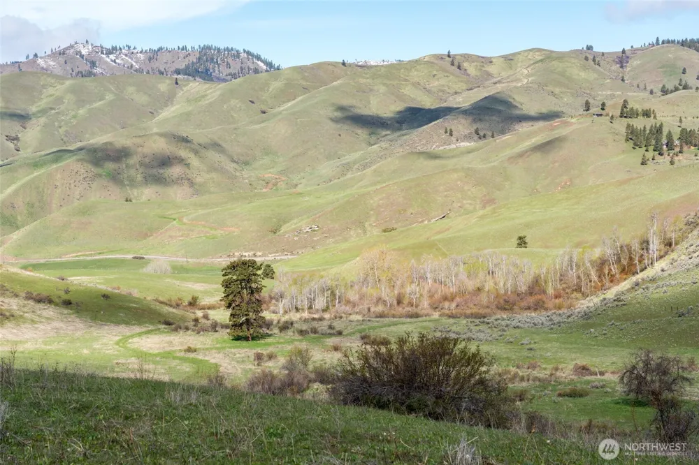 7993 Nahahum Canyon Road Cashmere, WA 98815