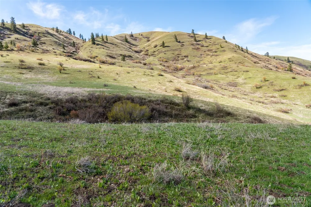 7993 Nahahum Canyon Road Cashmere, WA 98815