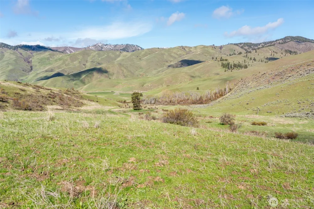 7993 Nahahum Canyon Road Cashmere, WA 98815