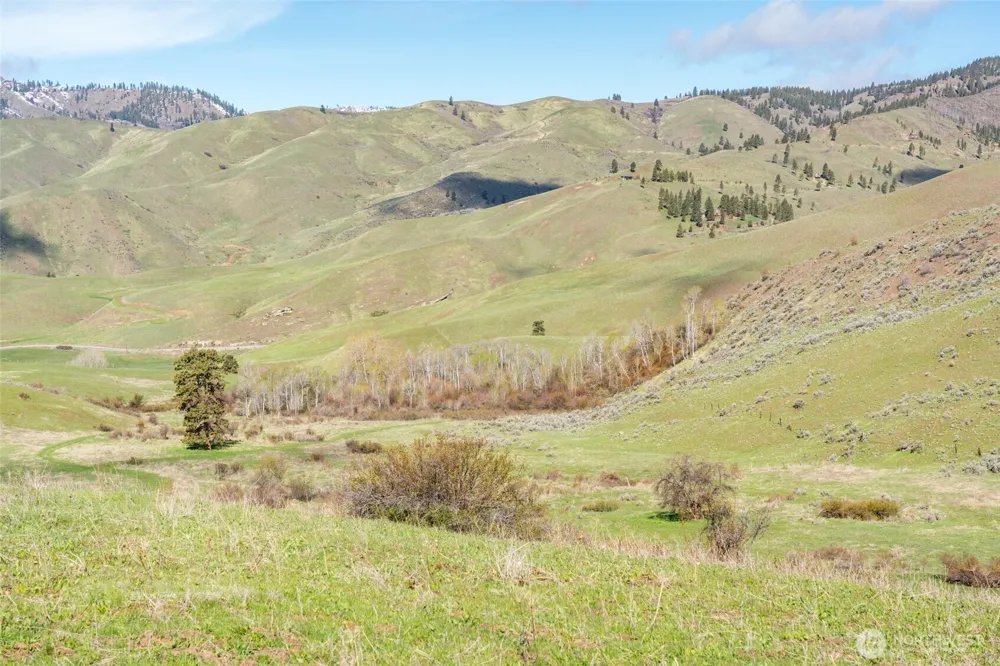 7993 Nahahum Canyon Road Cashmere, WA 98815