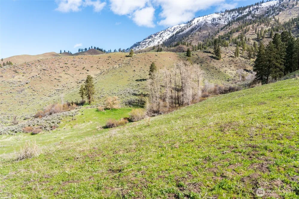 7993 Nahahum Canyon Road Cashmere, WA 98815