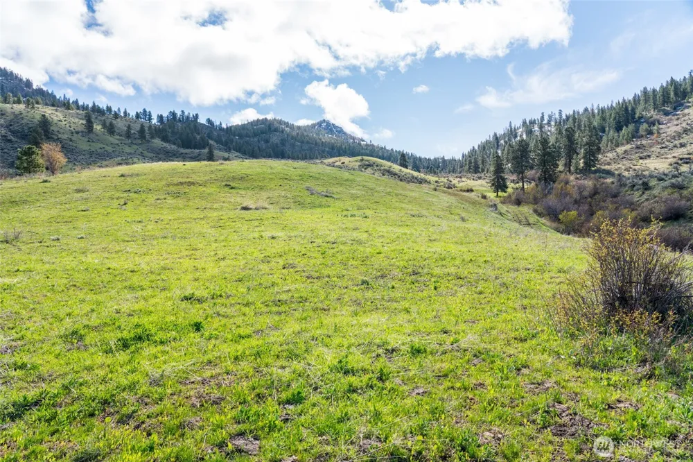 7993 Nahahum Canyon Road Cashmere, WA 98815