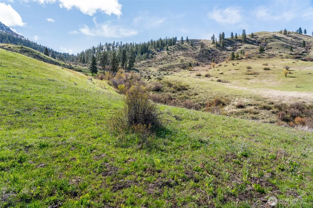 7993 Nahahum Canyon Road Cashmere, WA 98815