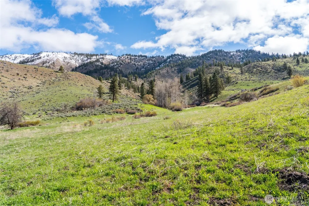 7993 Nahahum Canyon Road Cashmere, WA 98815