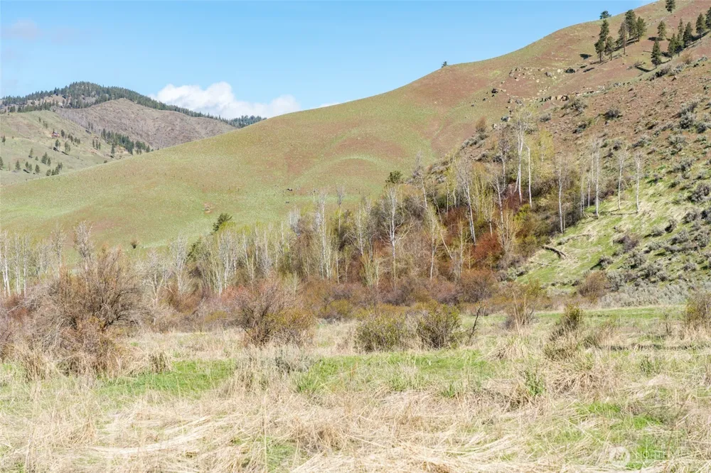 7993 Nahahum Canyon Road Cashmere, WA 98815