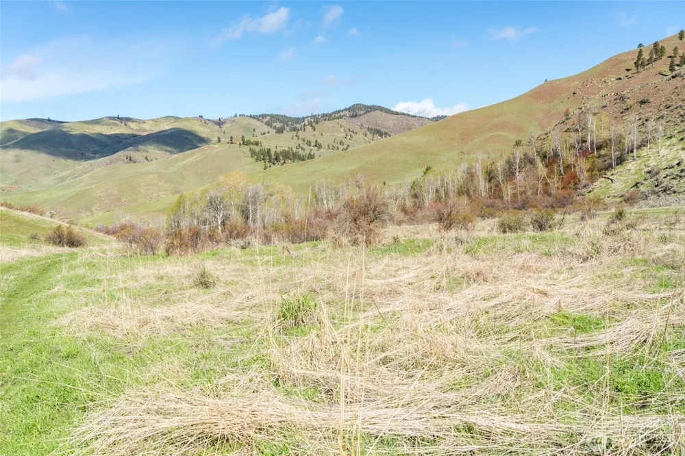7993 Nahahum Canyon Road Cashmere, WA 98815