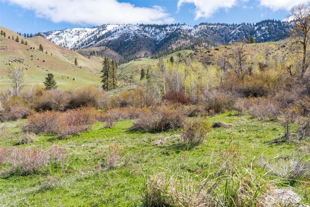 7993 Nahahum Canyon Road Cashmere, WA 98815