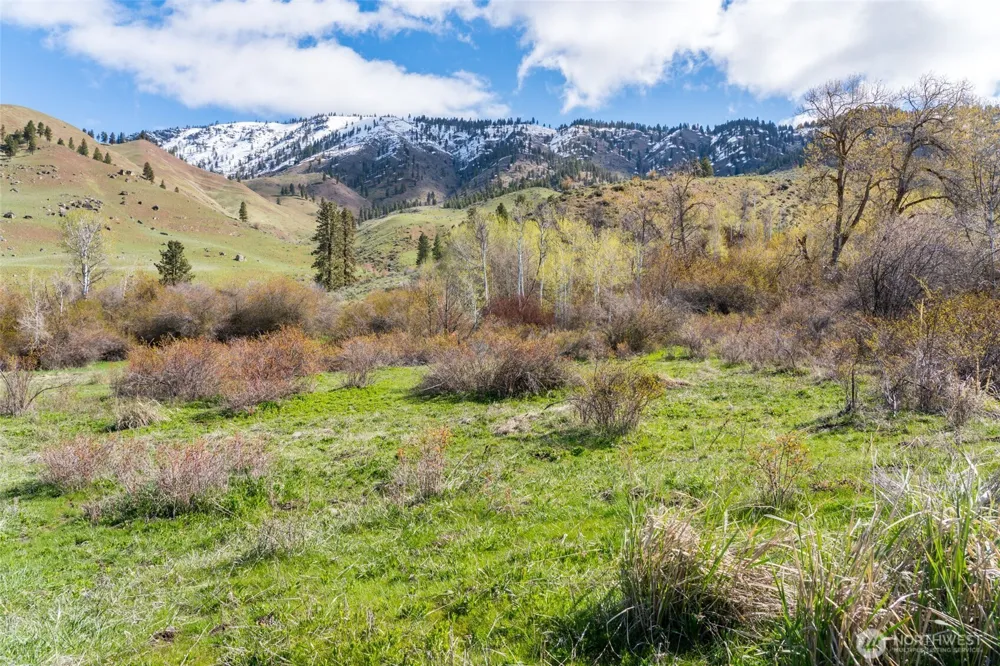 7993 Nahahum Canyon Road Cashmere, WA 98815