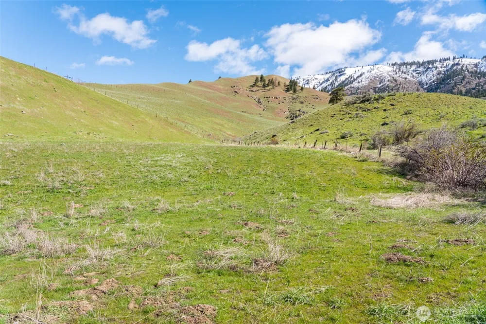 7993 Nahahum Canyon Road Cashmere, WA 98815