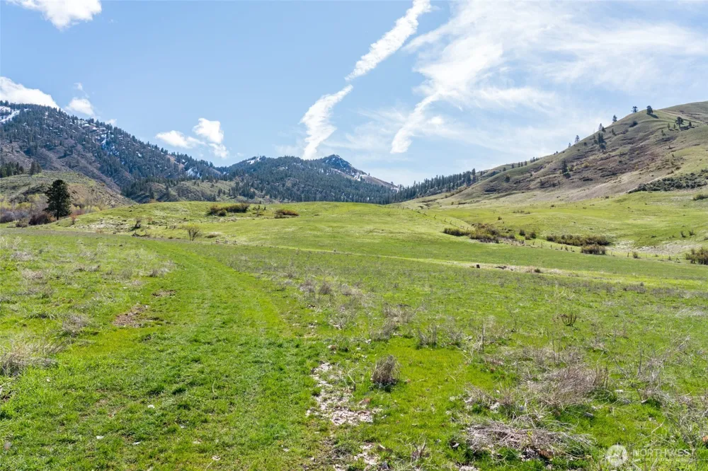7993 Nahahum Canyon Road Cashmere, WA 98815
