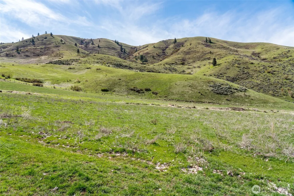 7993 Nahahum Canyon Road Cashmere, WA 98815