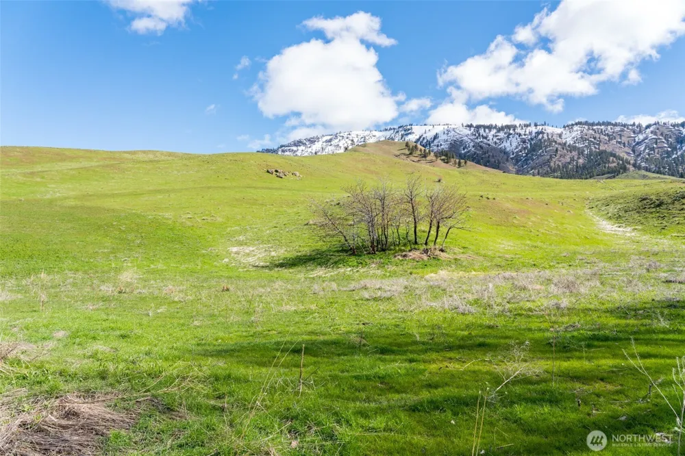 7993 Nahahum Canyon Road Cashmere, WA 98815