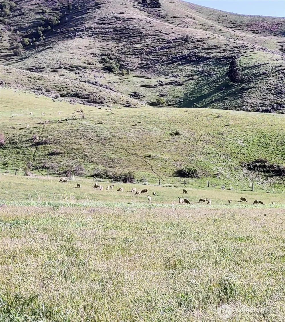 7993 Nahahum Canyon Road Cashmere, WA 98815