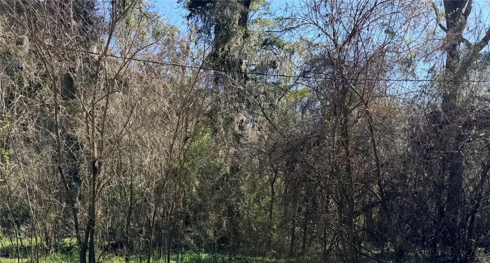 TBD PLATTED ROAD WAY Alachua, FL 32615